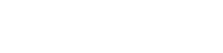DENZA D9 Logo